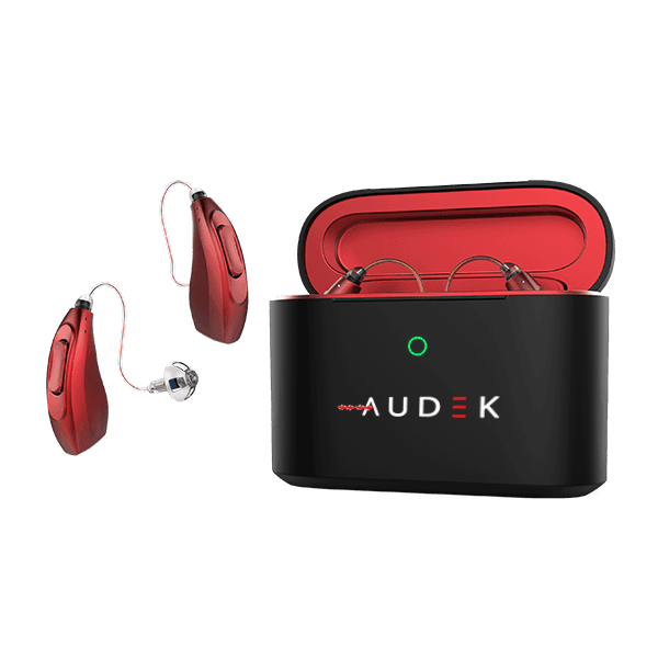 Esenze B-2 Hearing Aid